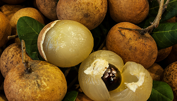 Nhãn Tiêu Nhãn Tiêu