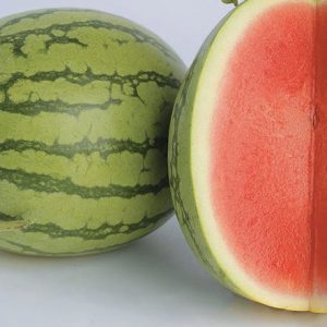 Dưa hấu không hạt