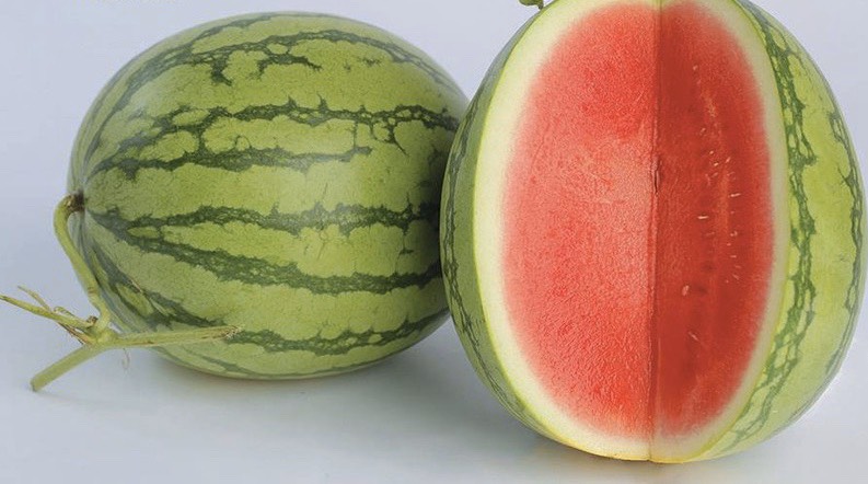 Dưa hấu không hạt Dưa hấu không hạt