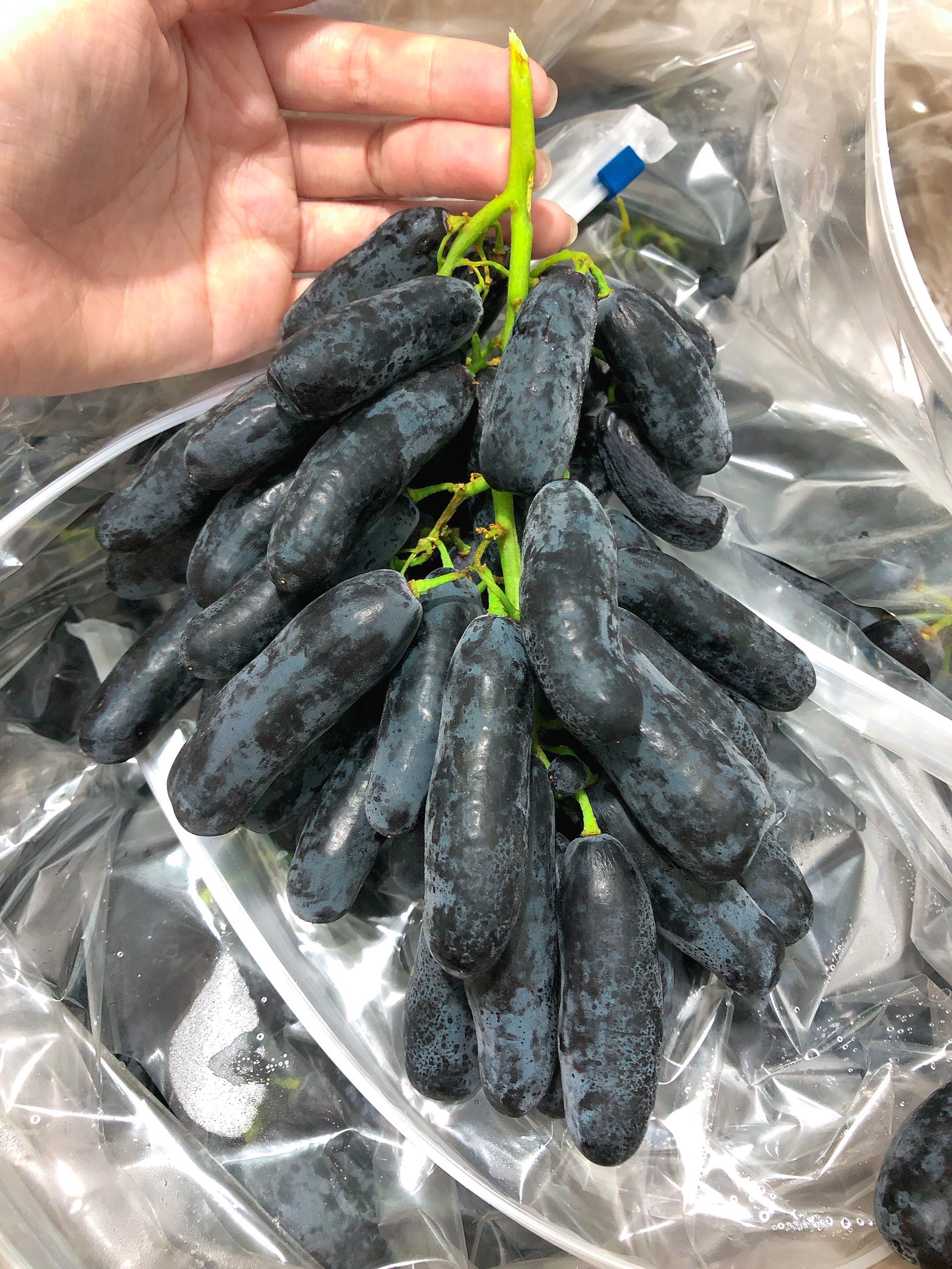 Nho Ngón Tay Mỹ Nho Ngón Tay Mỹ