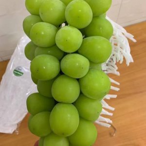 Nho Mẫu Đơn Hàn