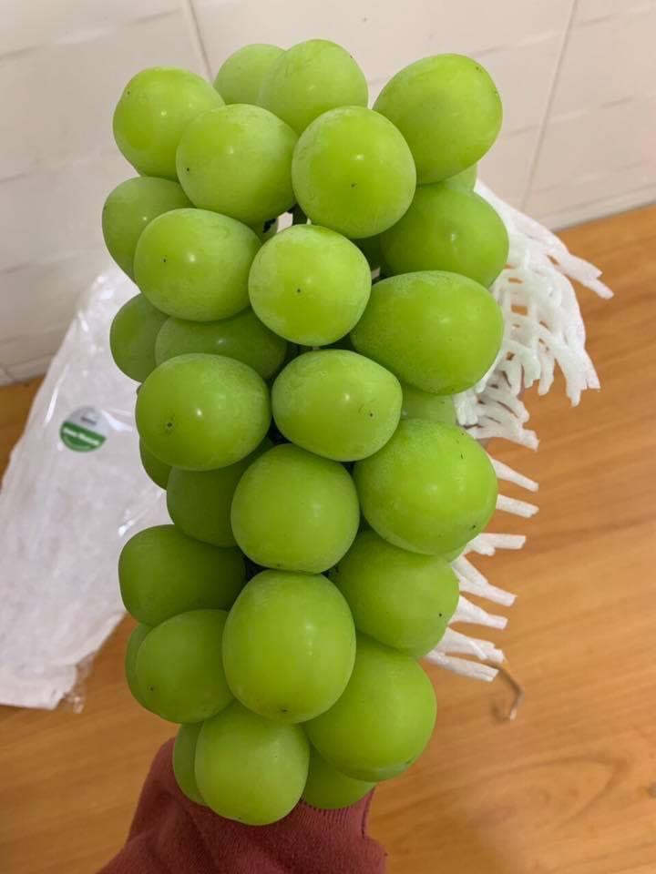 Nho Mẫu Đơn Hàn Nho Mẫu Đơn Hàn