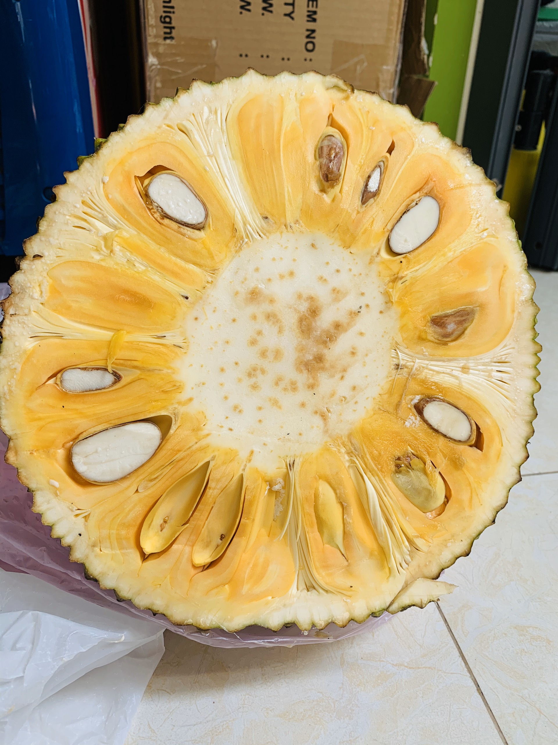 z2219650309852_d8d49fa0548231f4244e0ea6294072e1 Mít Thái