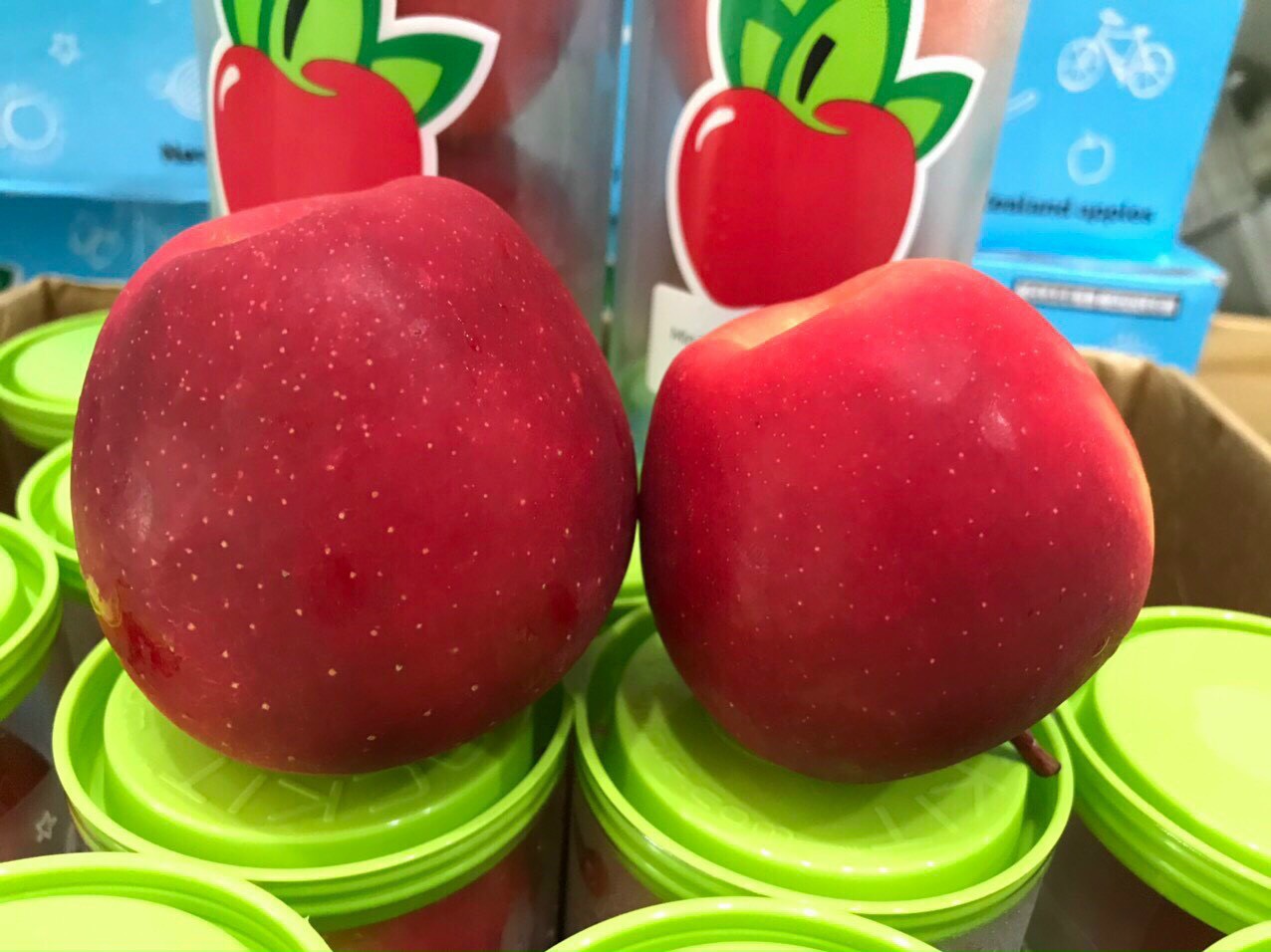 z2219650313615_9c33cdca55d0d572e71a9cb4d963636c Táo Rokit