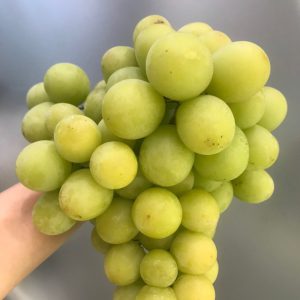 Nho Xanh Mỹ