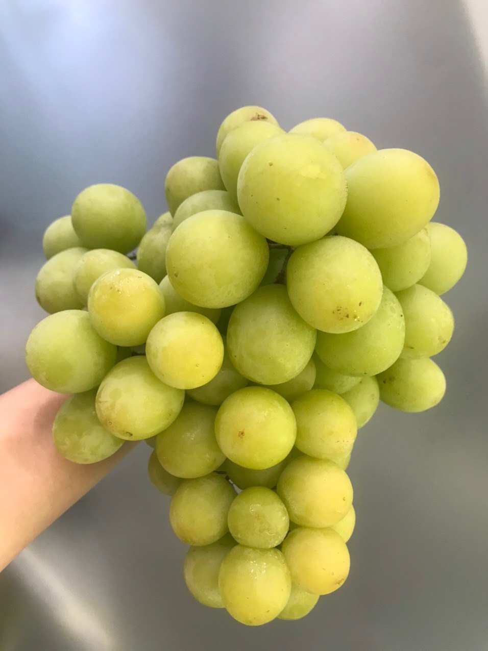 Nho Xanh Mỹ Nho Xanh Mỹ