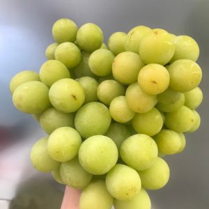 Nho Xanh Mỹ