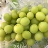 Nho Xanh Mỹ