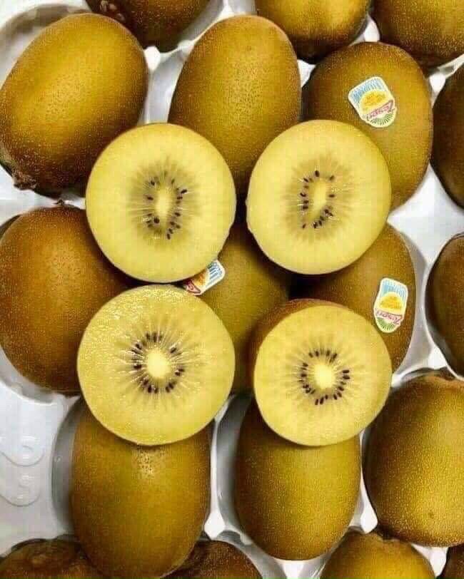 Kiwi Vàng Newzealand Kiwi Vàng Newzealand