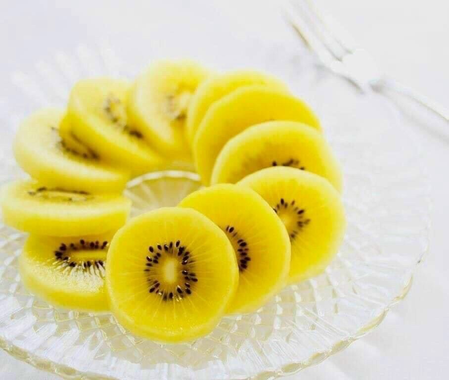 z2219650367318_33f109ce96dcf14a3de98e166ddf41cf Kiwi Vàng Newzealand