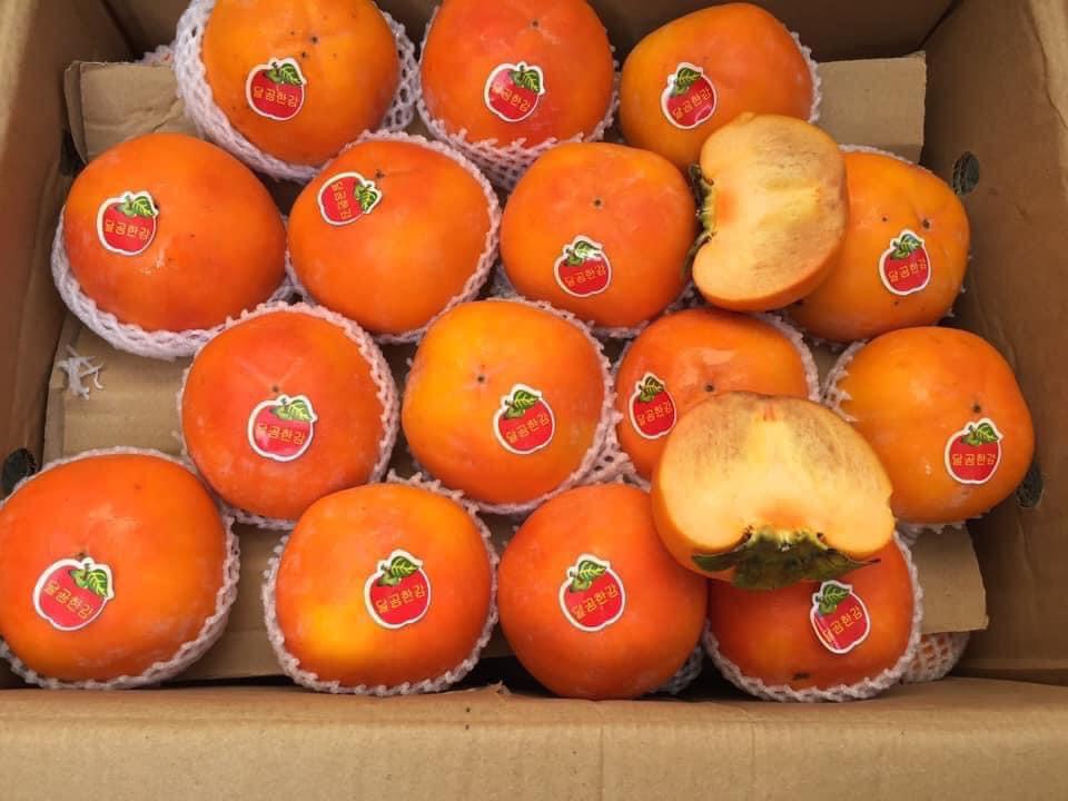 Hồng Giòn Hồng Giòn