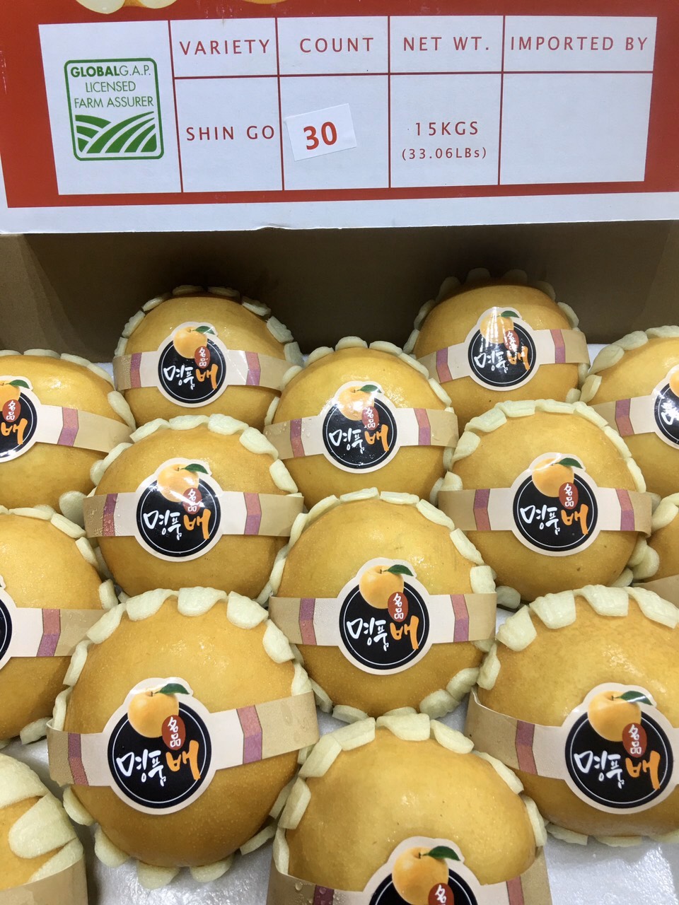 Lê Hàn Quốc Lê Hàn Quốc