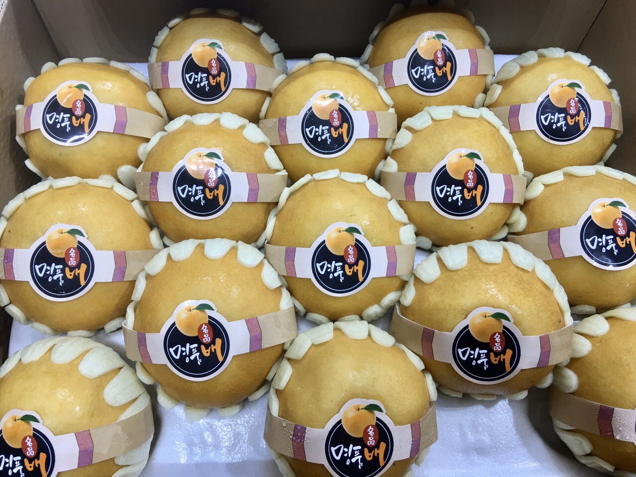 Lê Hàn Quốc Lê Hàn Quốc