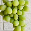 Nho xanh peru