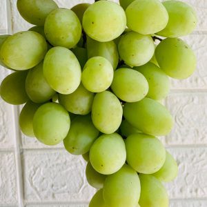 Nho xanh peru