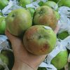 Xoài Táo Campuchia