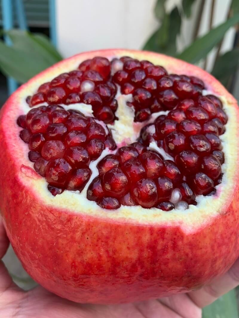 luu-israel-1 Lựu israel