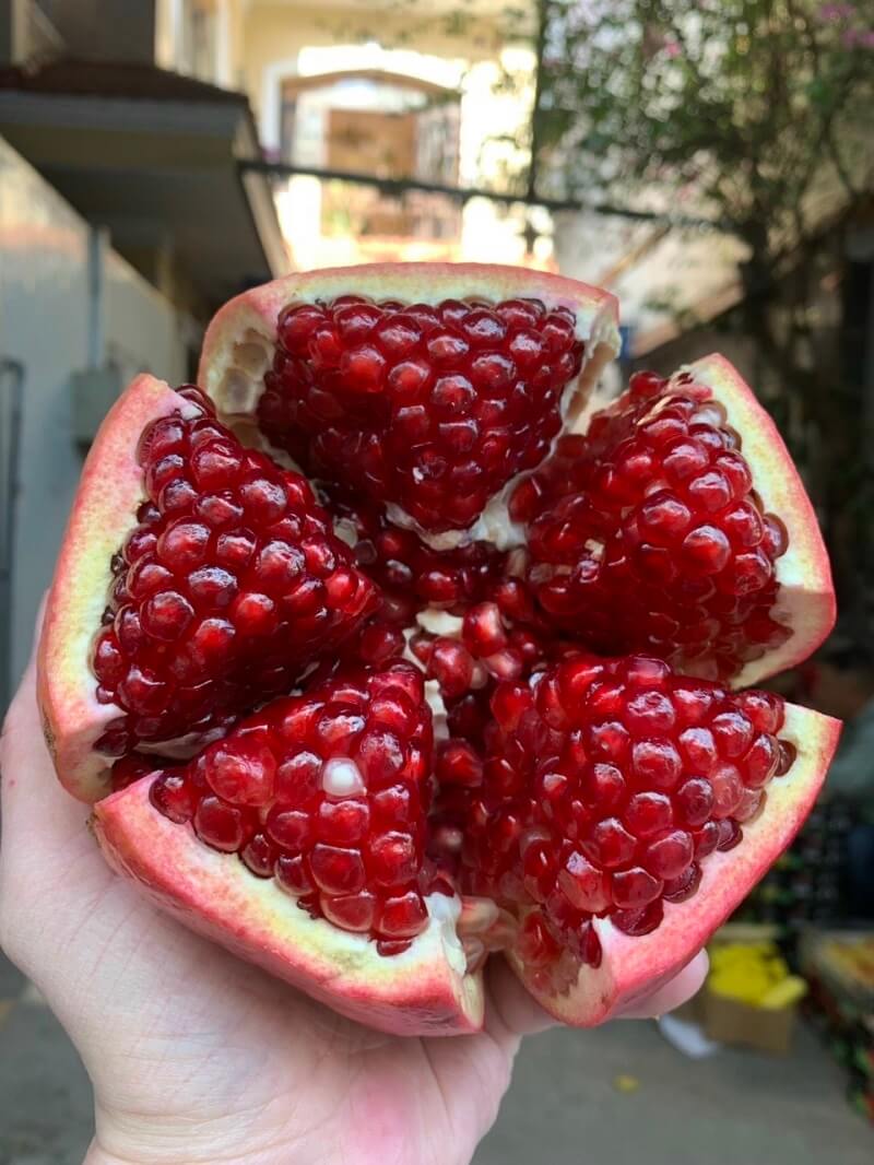 luu-israel-3 Lựu israel